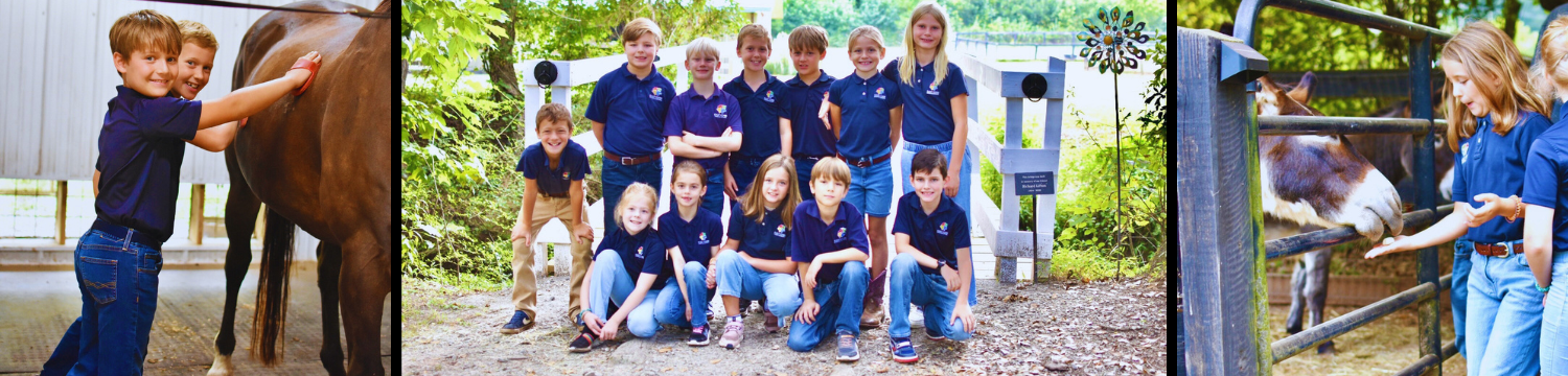 25-26 3rd Grade Banner